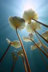 Poster - Ethereal Aquatic Wellness Underwater Lily Pad Meditation - Biophilic Design Inspiration for Mindful Environmental Storytelling in 8K Visual Content