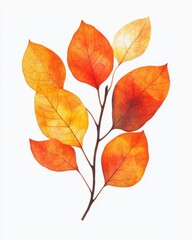 Aufkleber - watercolor painting of autumn leaves in warm orange and yellow tones against a white background crea