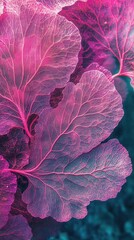 Poster - Ethereal pink sea fan coral abstract macro photography capturing intricate details and texture against a dark teal ocean background creating a dreamy underwater atmosphere