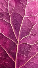 Aufkleber - detailed macro shot of a vibrant pink leaf with intricate vein patterns creating a captivating botan