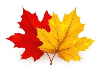 Poster - Autumnal harmony maple leaves vibrant red and yellow hues against a pristine white backdrop capturing the essence of fall season in a simple and elegant composition
