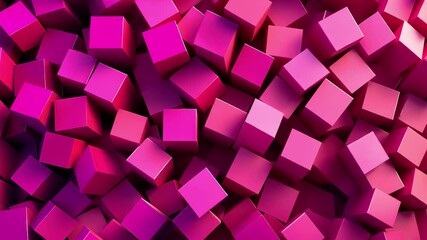 Poster - Vibrant magenta abstract background created with numerous 3D cubes arranged in a visually striking pattern, Abstract Background, magenta color, 3d, video