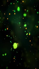 Leinwandbilder - Bright green and orange particles move elegantly in a dark background, creating a mesmerizing visual effect