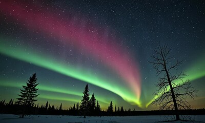 aurora