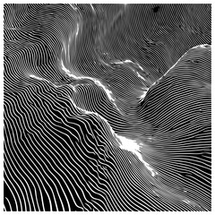 Fototapete - Dynamic black and white vector art featuring wavy, hypnotic lines. The abstract pattern creates an optical illusion effect, perfect for modern, stylish backgrounds or design.