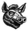 © vectorizer88 - Detailed Engraving of a Pig Head in Classic Illustration Style