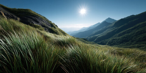 mountain grassland under bright sun with clear blue sky and distant mountain range creating peaceful