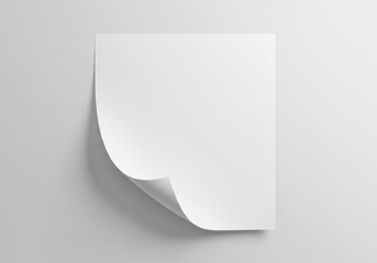 Poster - Blank white paper sheet with curled corner on light gray background, mockup