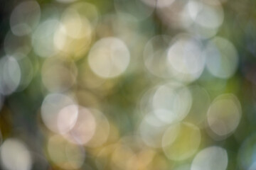 Wall Mural - the image is a blurry, abstract painting of a tree with many small circles