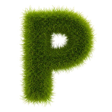Letter p grass texture green alphabet eco friendly nature typography design element isolated on black on transparent background