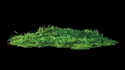 Wall Mural - Seamless swaying grass loop with soft wind on transparent alpha
