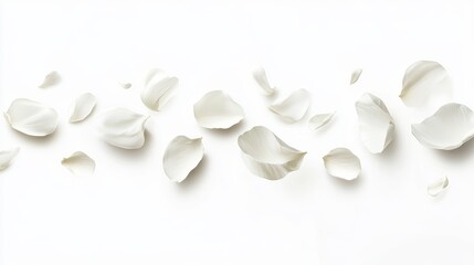 Aufkleber - Delicate White Petals Floating on a Clean Background Perfect for Wedding or Spa Themes and Design