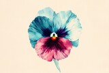 Detailed illustration of a vibrant pansy flower.