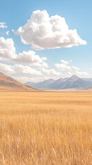 golden wheat field under a sunny sky with mountain views