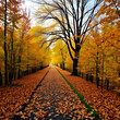© Lauren - autumn, track, tree, leaves, walk