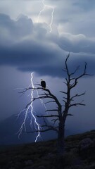 Poster - Eagle perched on dead tree in storm with lightning striking far hills. Cinematic moment, raw power, silhouette tension.
