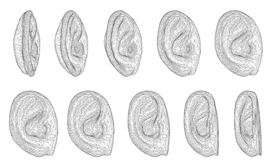 Poster - A series of drawings of ears in different positions. The drawings are all in black and white. The mood of the images is somewhat somber and serious