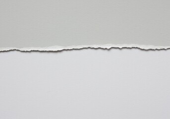 Poster - Torn gray paper edge with a rough texture against a clean white background for graphic design use