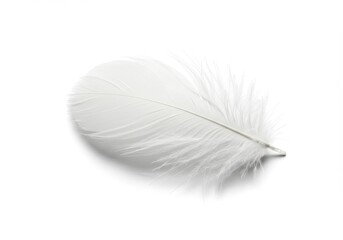 Poster - Single white feather lying softly on a clean, bright white surface, casting a subtle shadow