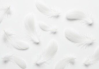 Poster - Scattered white feathers create a soft, delicate pattern on a clean, bright white background, conveying lightness
