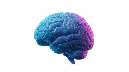 Wall Mural - human brain isolated on transparent png