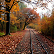 © Julian - autumn, track, tree, leaves, walk