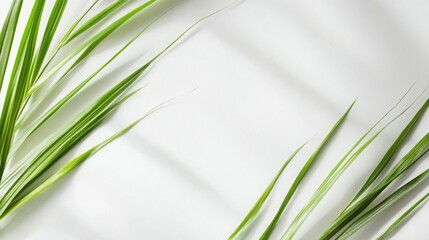 Poster - Bright white background with light green diagonal stripes in the corners, clean and simple eco-friendly presentation backdrop