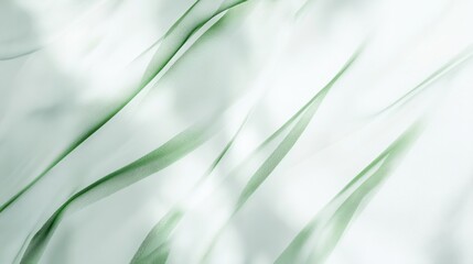 Poster - Modern white backdrop featuring transparent green stripes layered subtly in the corners, fresh natural design