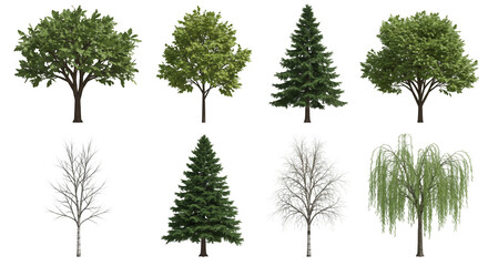 Assorted Trees Isolated on Transparent Background Diverse Green Foliage and Winter Bare Branches Botanical Variety for Landscaping