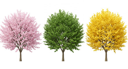 three trees displaying different seasonal colors with pink blossoms green leaves and yellow foliage 