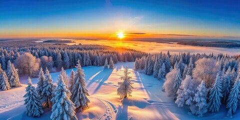 Aufkleber - Sunrise casts golden light on a snow-covered forest, illuminating the frozen branches and creating a mesmerizing landscape.