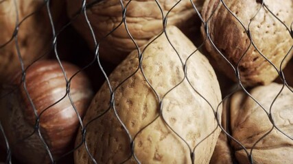 Assorted netted shelled nuts extreme close up stock footage