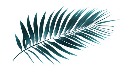 Aufkleber - Elegant botanical teal palm frond, isolated on a clean transparent field, minimalistic tropical design element