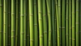 A stunning display of tall, green bamboo stalks, forming a dense and textured background.