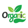 © Mr - Organic logo design, green leaves, stylized text, eco-friendly branding, minimalist illustration, natural imagery, white background, sustainability concept, fresh produce icon, clean graphic design,