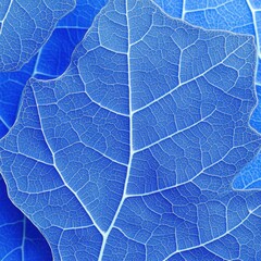 Poster - Captivating close up of a vibrant blue leaf showcasing intricate vein patterns against a textured background botanical nature macro photography detail