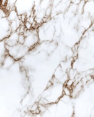 Poster - elegant white marble texture with brown veins detailed close up shot capturing natural stone pattern