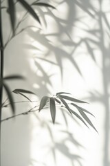 Poster - Serene bamboo leaves casting delicate shadows on a white wall creating a calming and minimalist botanical scene with a soft focus and natural light