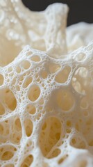 Poster - Abstract porous structure in cream color with intricate holes and organic shapes creating a light and airy texture against a dark background