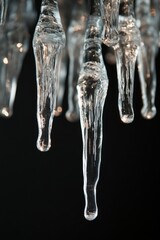 Poster - Sparkling Ice Icicles Hanging Down Against a Dark Background Capturing the Beauty of Freezing Water and Winter Season with Reflections and Translucence