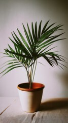 Poster - Elegant areca palm in pot casting shadow on linen fabric against a white wall in a minimalist style indoor setting creating a peaceful and natural atmosphere