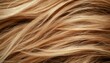 © talkative.studio - Blonde hair close-up texture