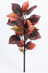 Poster - autumnal elegance captured in a studio shot of a decorative leaf branch against a clean white backgr