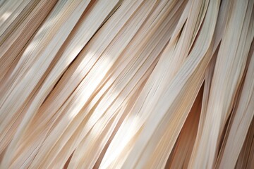 Poster - Abstract light beige palm leaf patterns in natural light creating a serene tranquil background with an organic feel and a sense of calm and relaxation in a macro shot