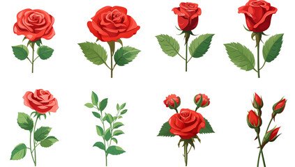 Poster - Arrangement of red rose illustrations with stems and green leaves on a transparent background png