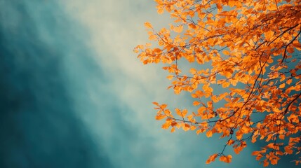 Poster - Golden autumn leaves creating a serene woodland atmosphere