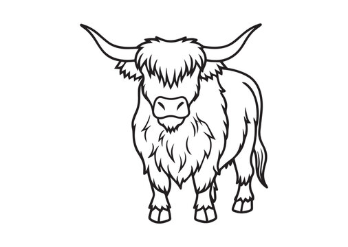 Hand-Drawn Highland Cow Doodle Line Art Drawing, Perfect for Modern Wall Art, Coloring Pages, and Creative Design Vector