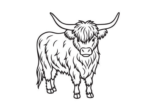 Hand-Drawn Highland Cow Doodle Line Art Drawing, Perfect for Modern Wall Art, Coloring Pages, and Creative Design Vector