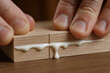 © newlifestock - Woodwork glue is applied between two wooden pieces in workshop to create strong bond with careful hands pressing joint firmly