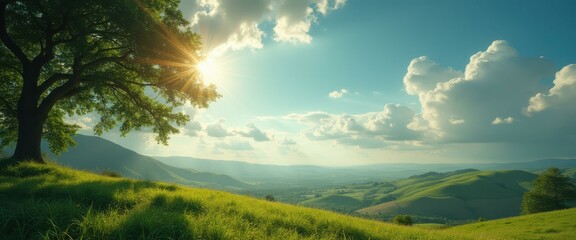 Poster - Rolling green hills and sun-drenched landscape with expansive vista, inviting meadow, and lush tree bathed in sunlight